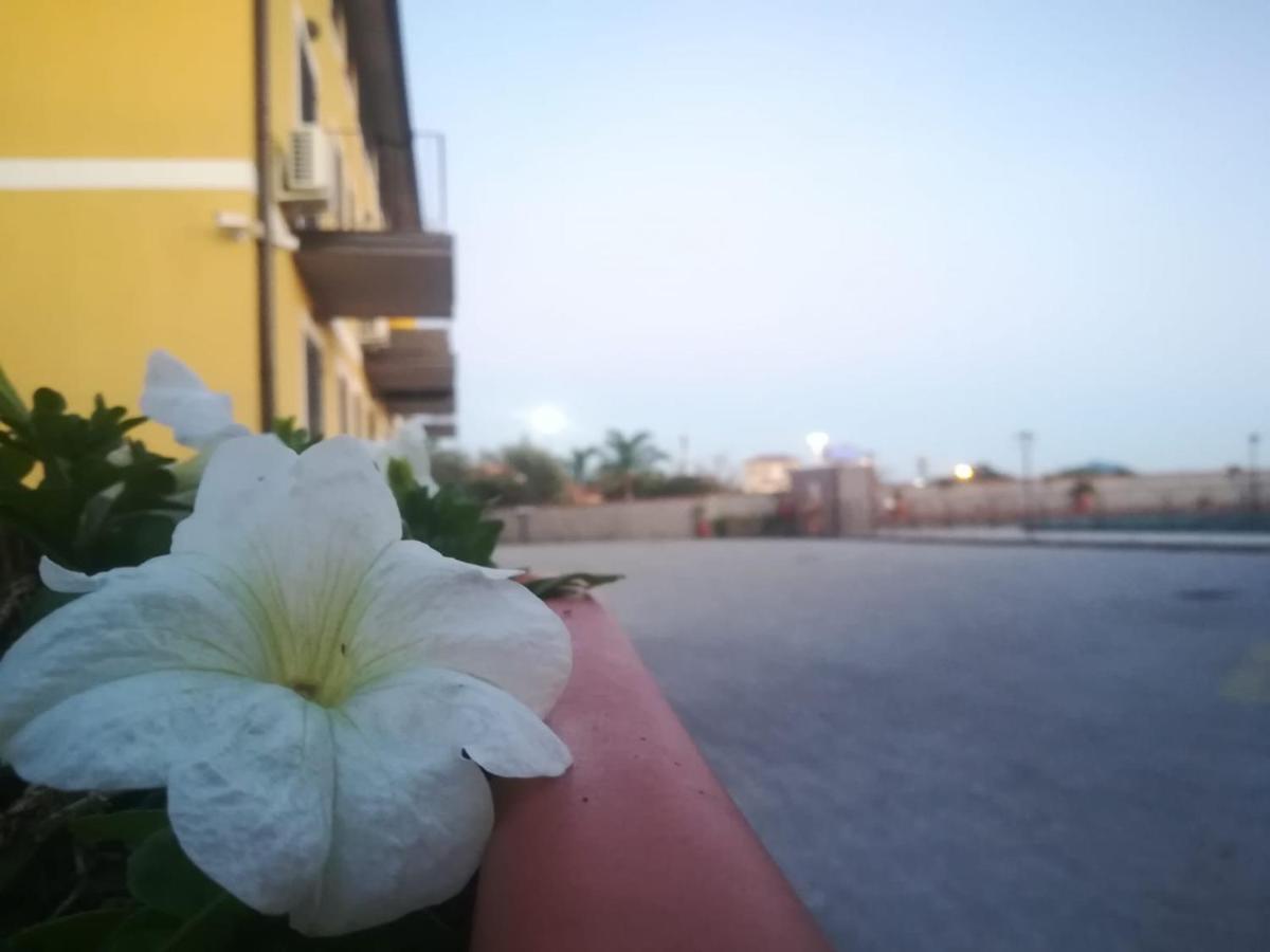 I Colori Dell'Etna Bed & Breakfast Сан Джовани ла Пунта Екстериор снимка